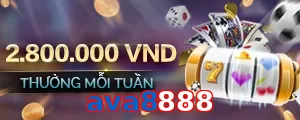 ava8888