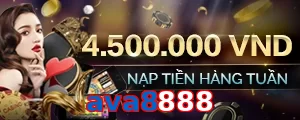 ava8888